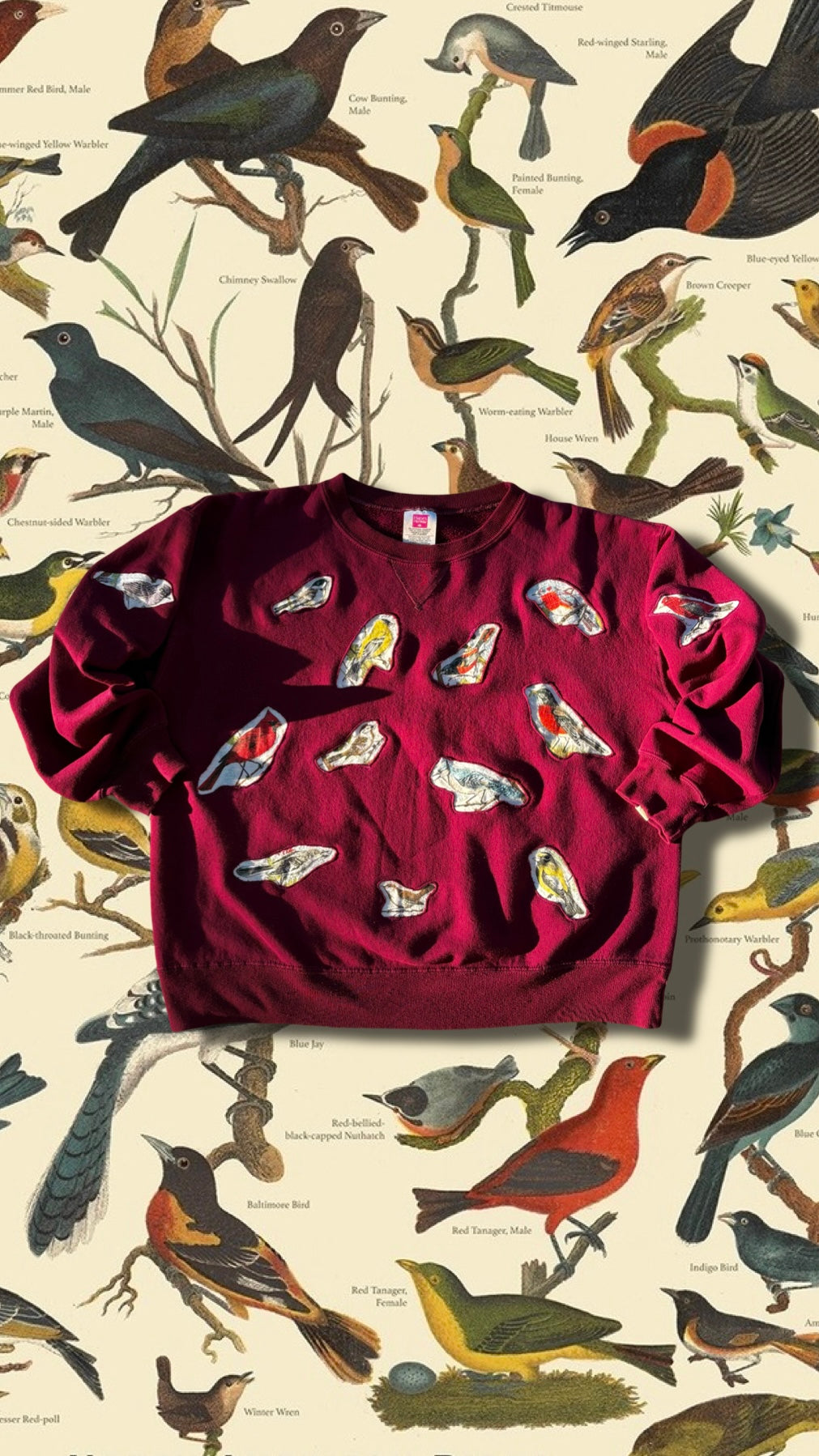 SONGBIRDS PATCHWORK SWEATSHIRT